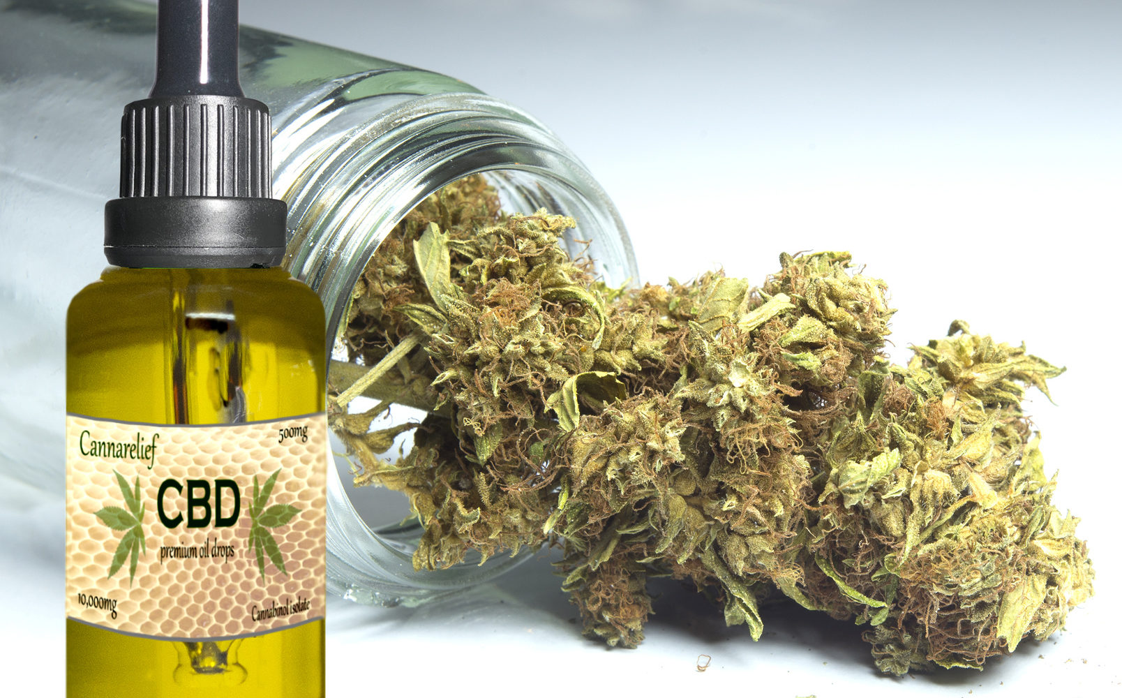 Olej CBD – co warto wiedzieć na ten temat?