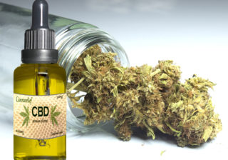 Olej CBD – co warto wiedzieć na ten temat?