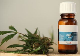 Olejek CBD – czy można podawać zwierzętom?