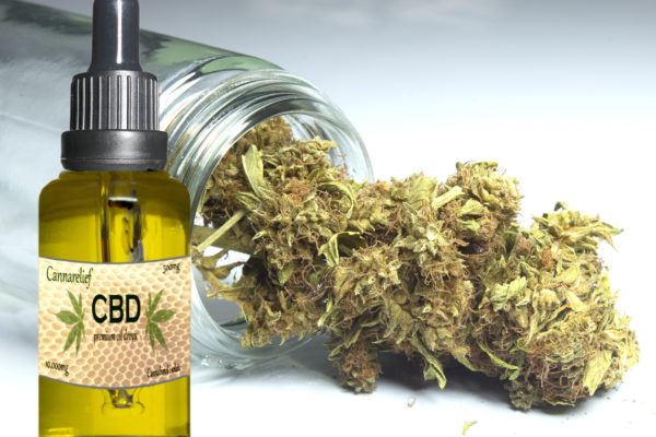 Olej CBD – co warto wiedzieć na ten temat?